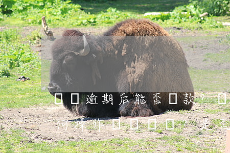 還唄逾期后能否還款？現(xiàn)在如何操作？是否會(huì)上征信？